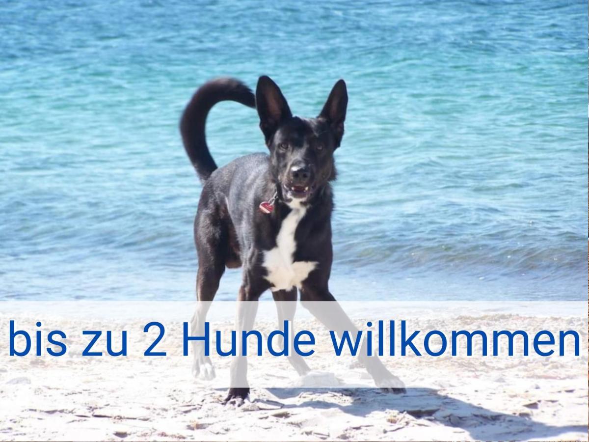 Boeltser Hus Ferienwohnungen Mit Strandkorb Und Kamin 10 Gehminuten Zum Kurtaxefreien Sandstrand Kraksdorf Exteriér fotografie